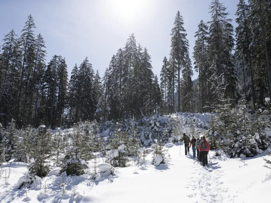 Schneeschuhwanderung